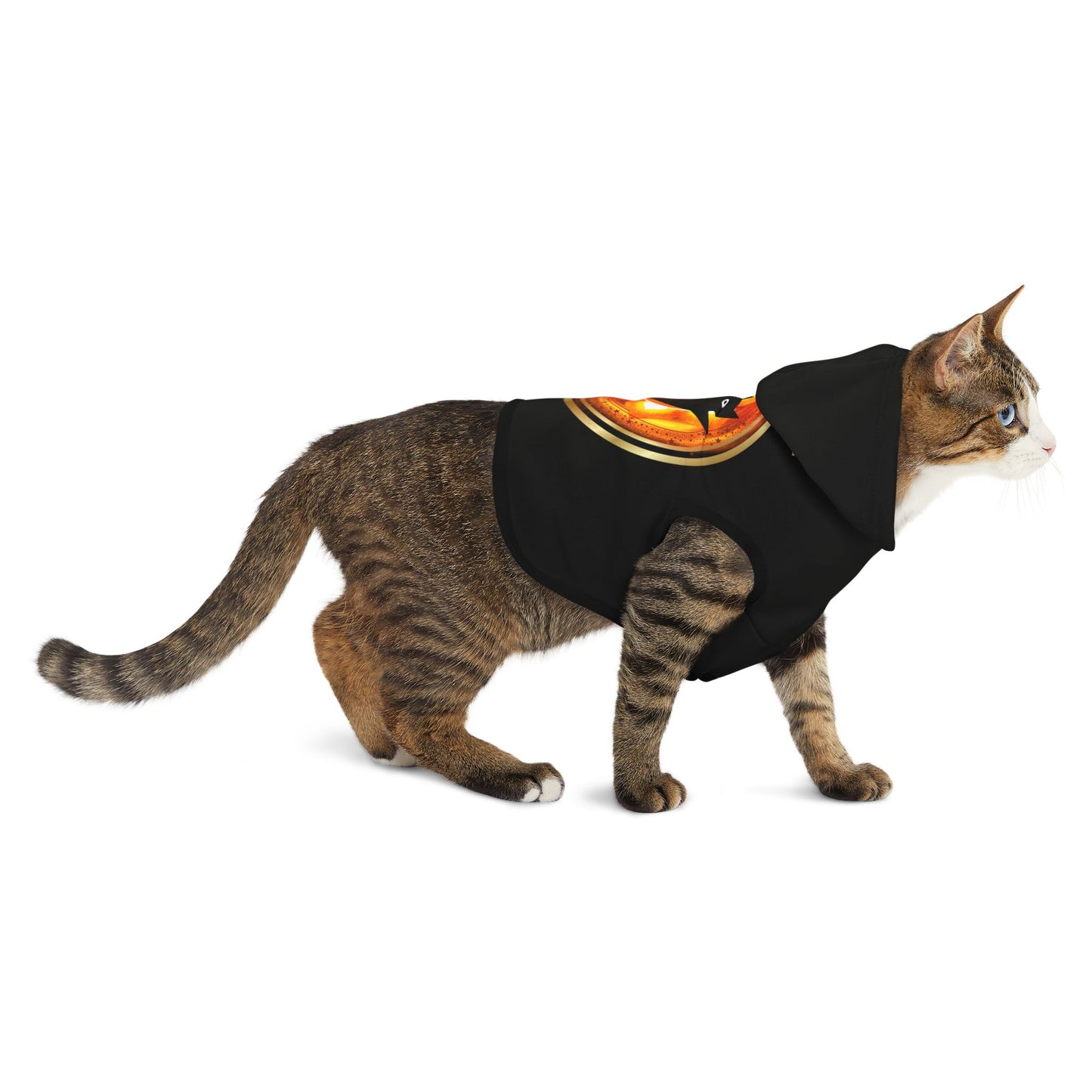 Cat Chakra Series- SACRAL CHAKRA 2 - FRONT - BLACK - Animal Hoodie