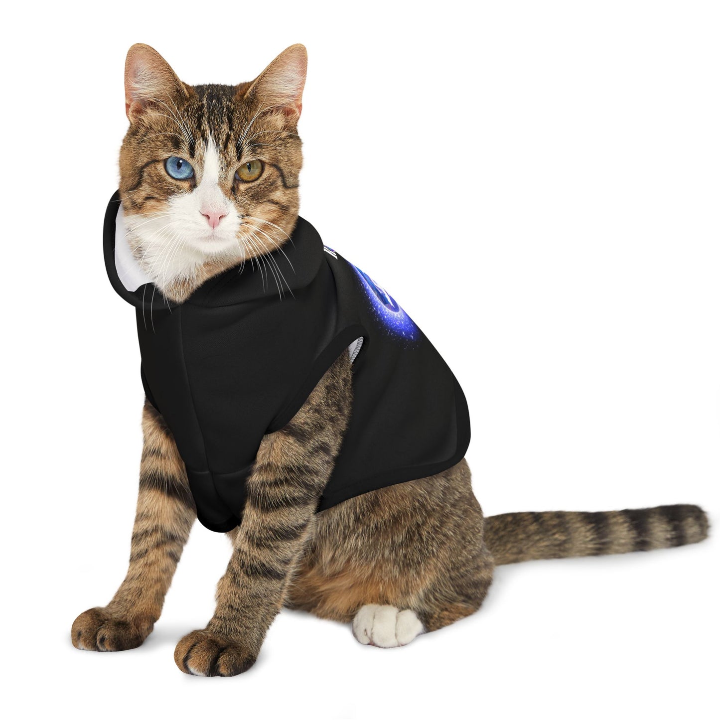 Cat Chakra Series- THIRD EYE CHAKRA - FRONT- Black - Animal Hoodie
