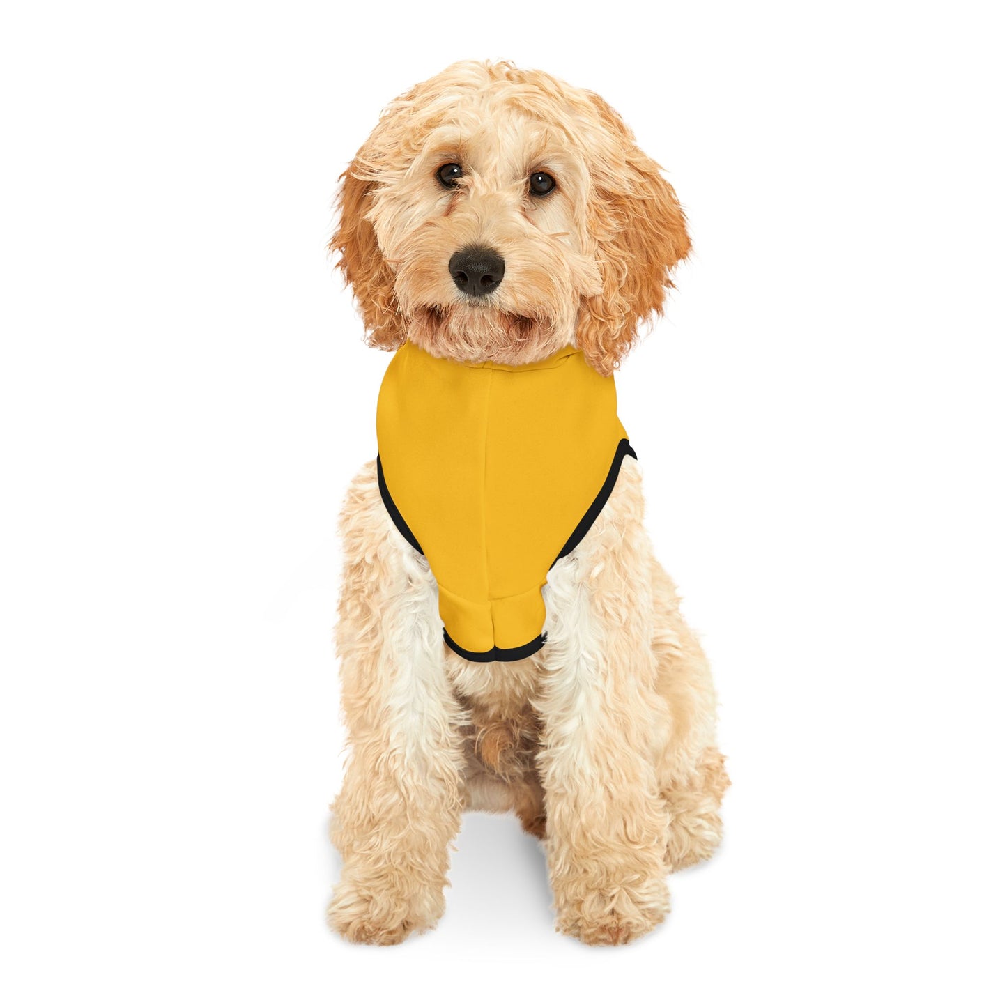 Dog Chakra Series- SOLAR PLEXUS CHAKRA - BACK- yellow - Animal Hoodie