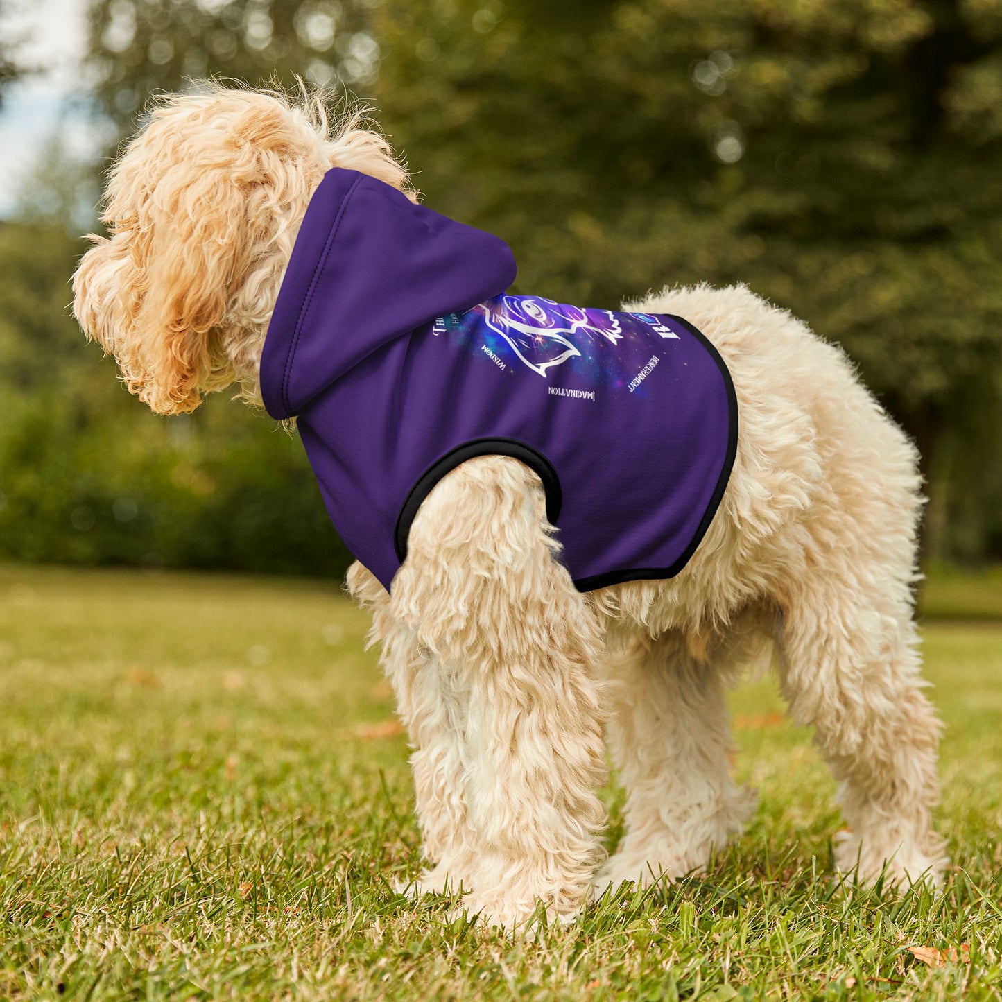 Dog Chakra Series- THIRD EYE CHAKRA - INDIGO - Animal Hoodie