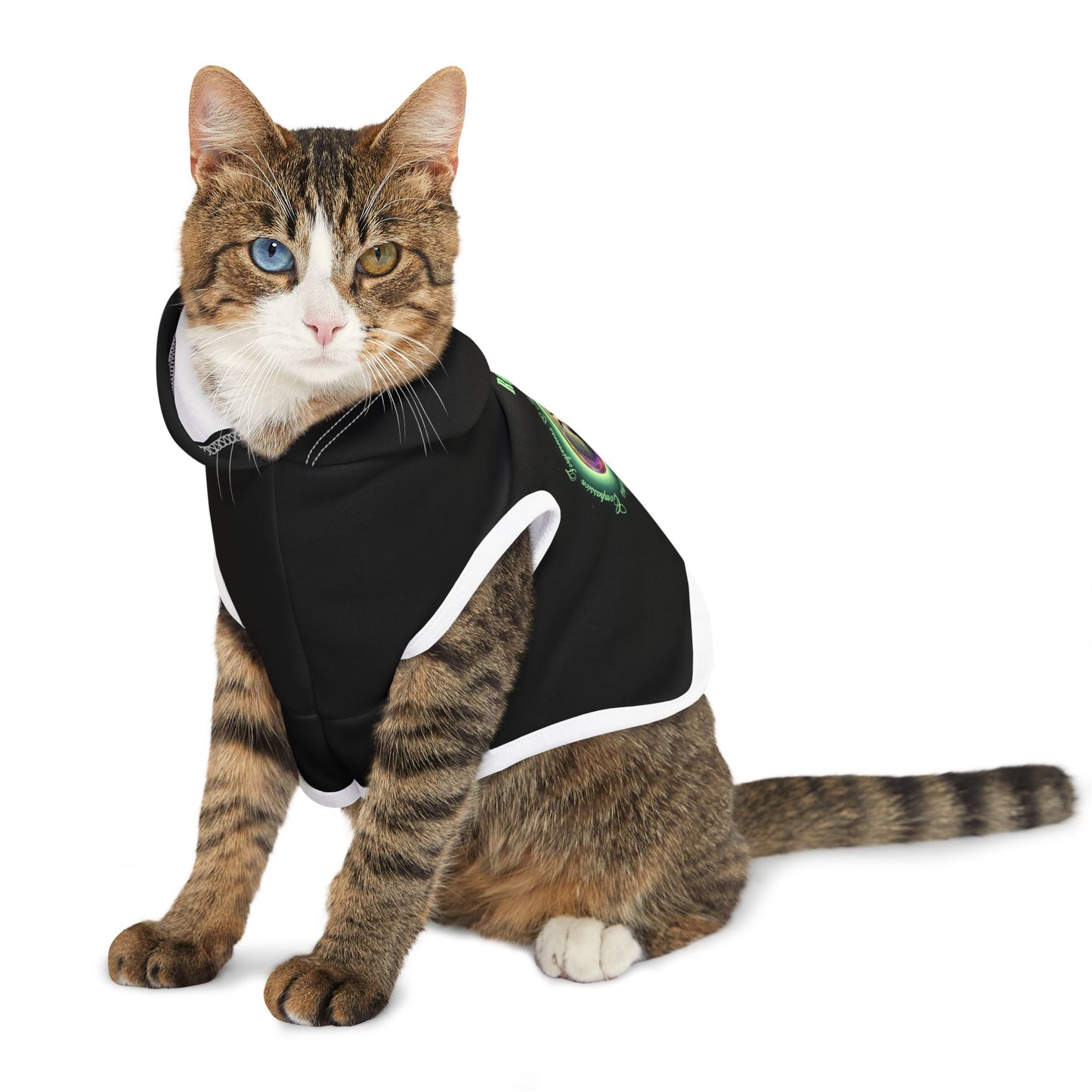 Cat Chakra Series- HEART CHAKRA - Black - Animal Hoodie