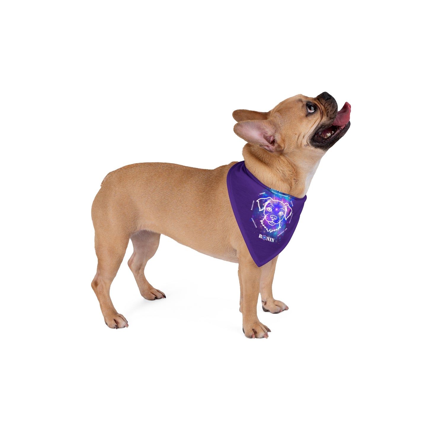 Dog Chakra Series - THIRD EYE CHAKRA - Pet Bandana