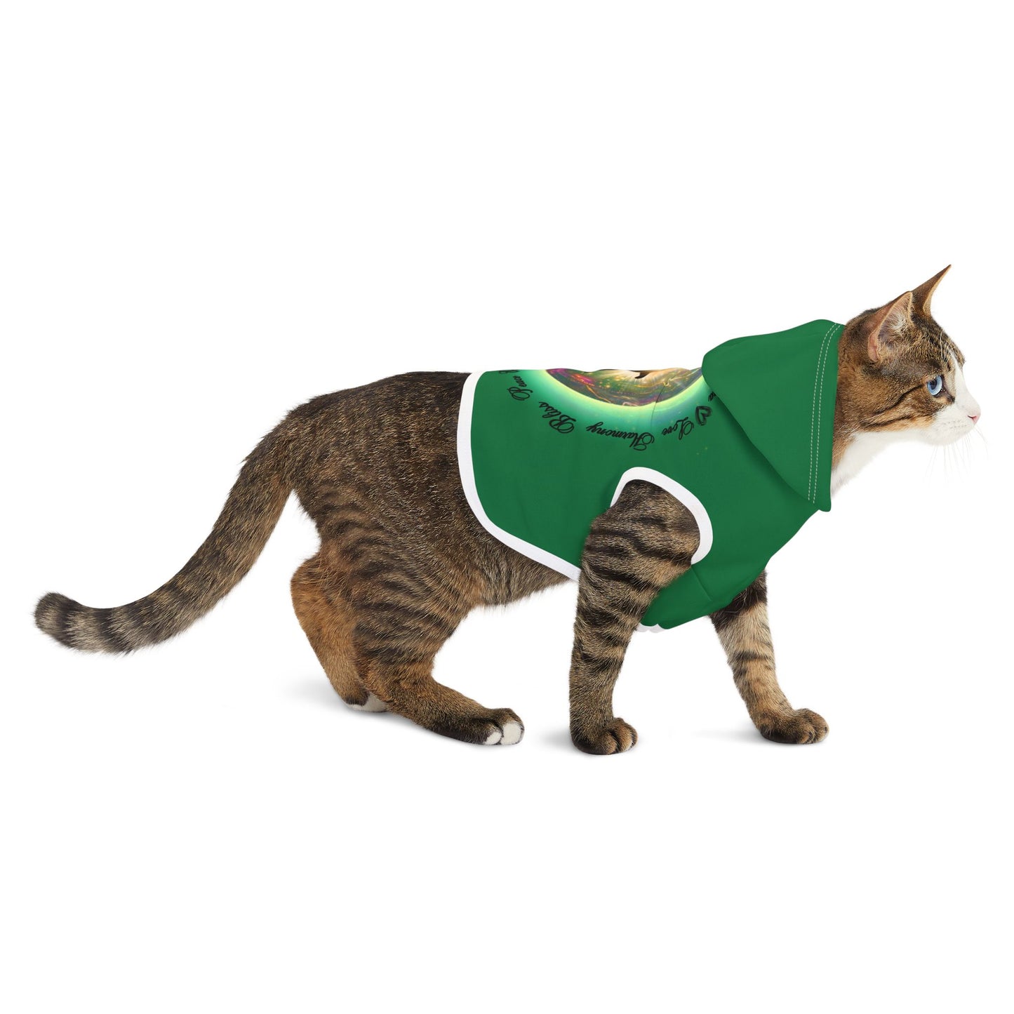 Cat Chakra Series - HEART CHAKRA - GREEN - Animal Hoodie