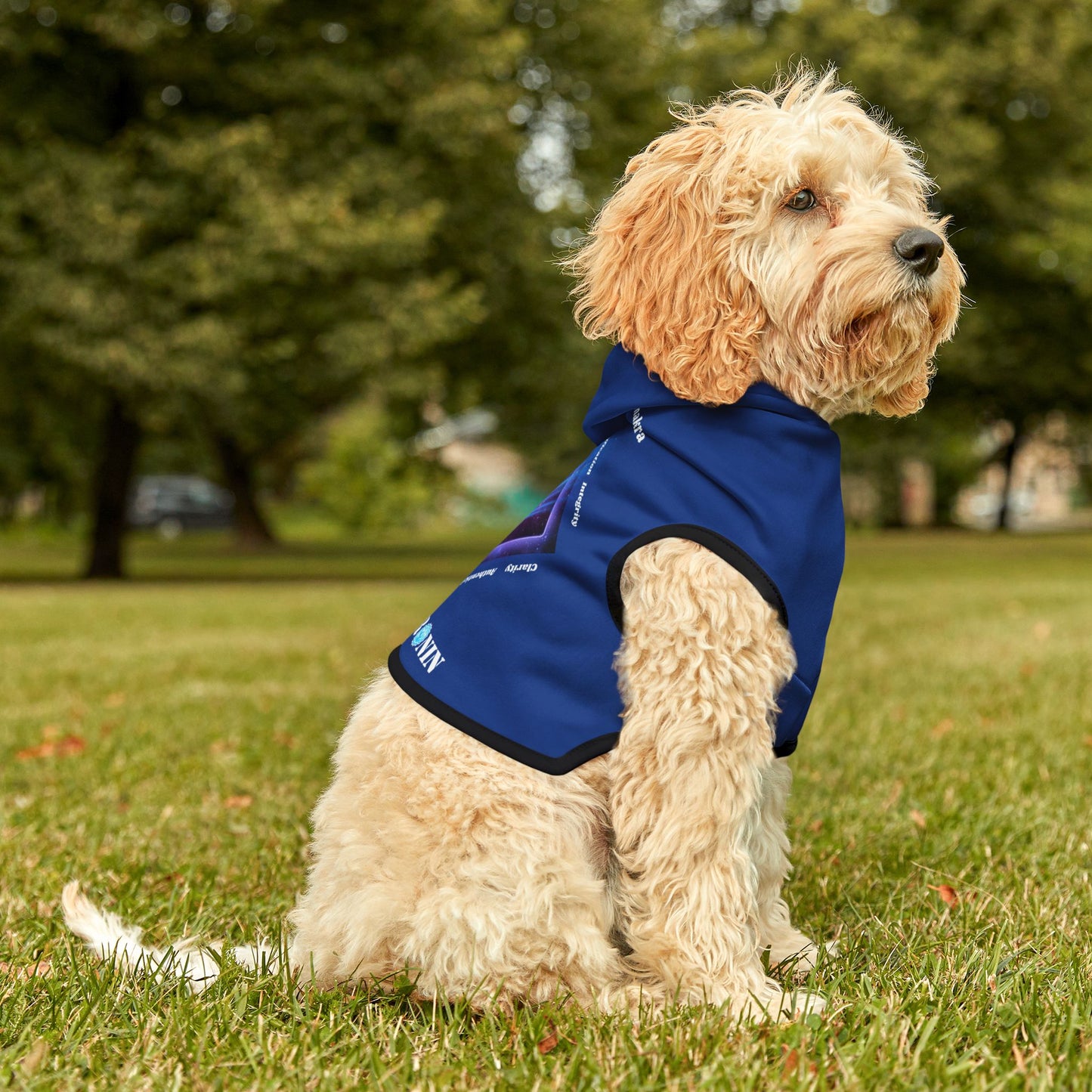 Dog Chakra Series- THROAT CHAKRA - BACK- BLUE - Animal Hoodie