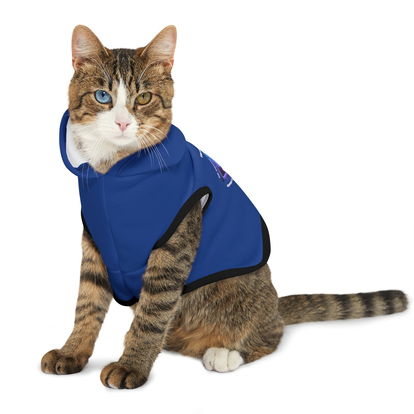 Cat Chakra Series - THROAT CHAKRA - BACK-  BLUE- Animal Hoodie