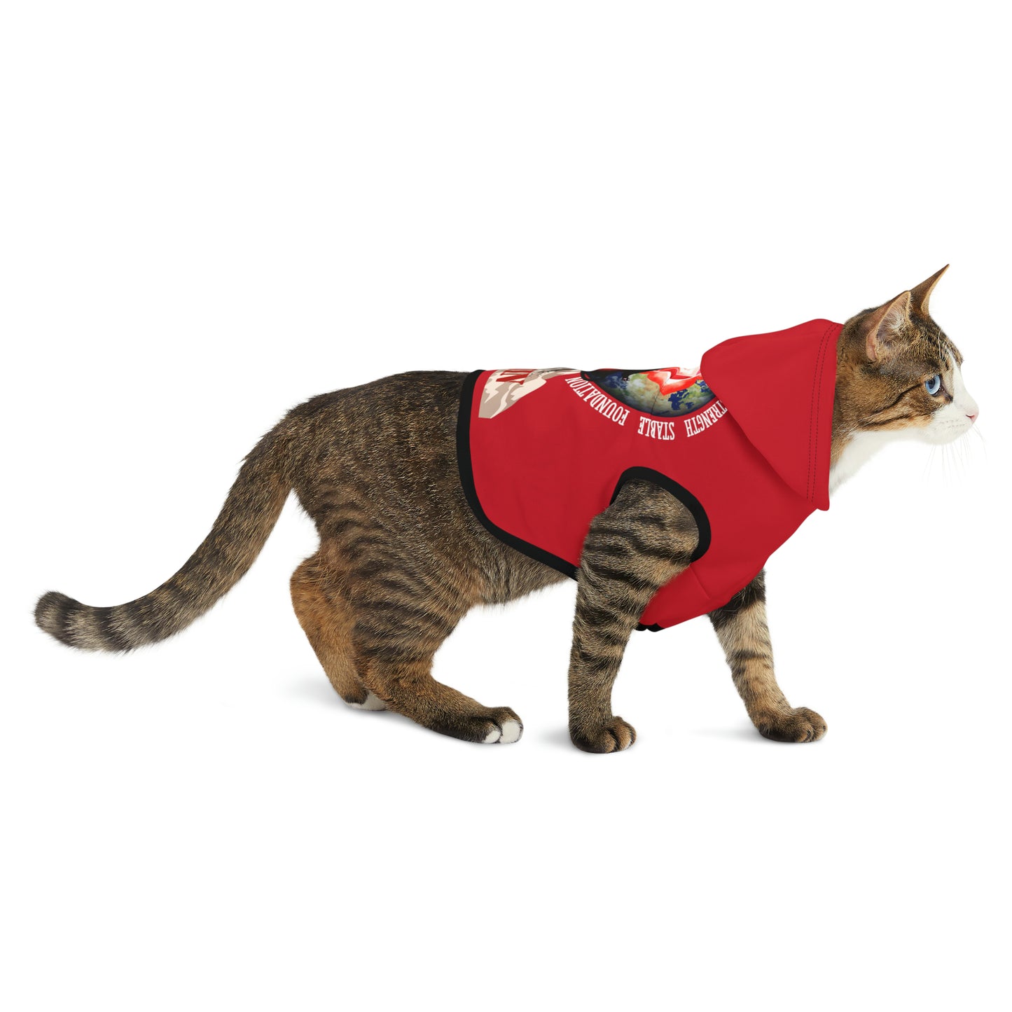 Cat Chakra Series- ROOT CHAKRA - RED- Animal Hoodie