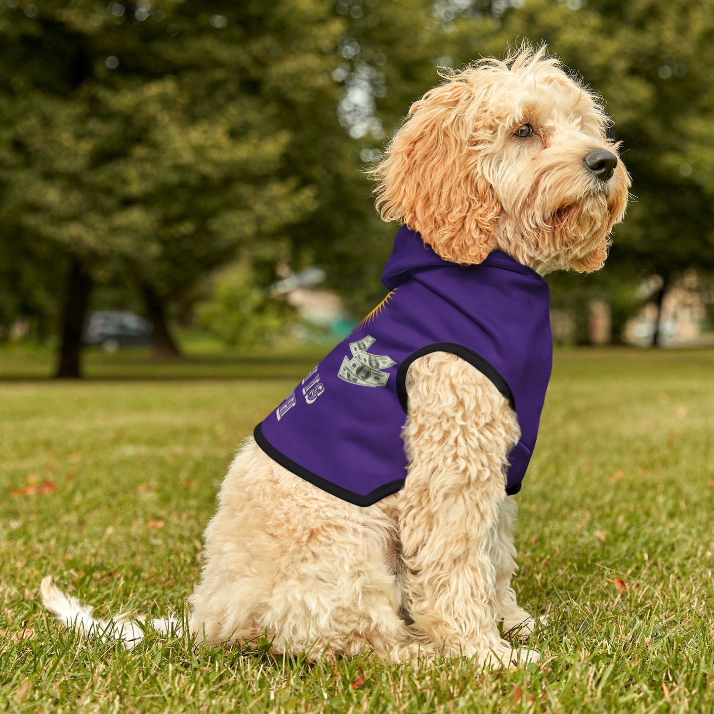 Yoga Health is Wealth - Purple - RONIN - Dog Hoodie