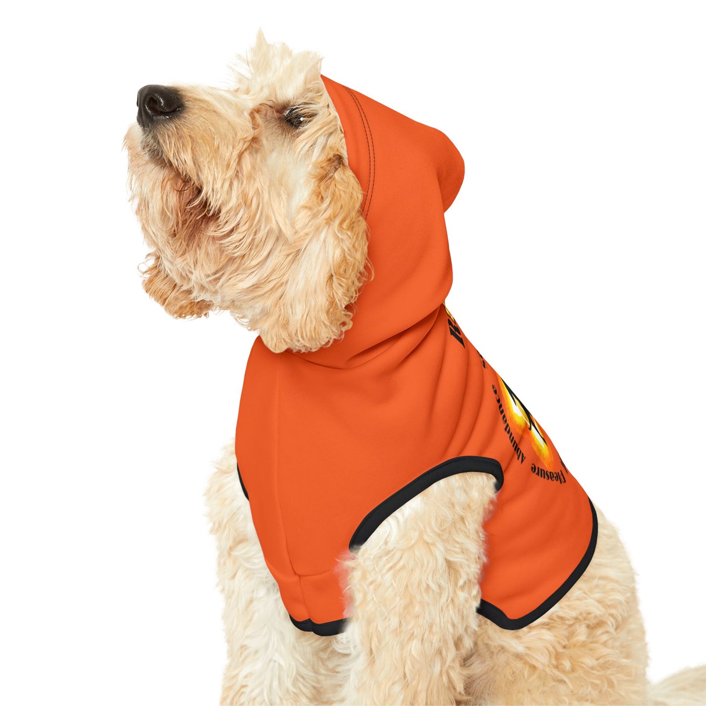 Dog Chakra Series- SACRAL CHAKRA - BACK- Orange- Animal Hoodie