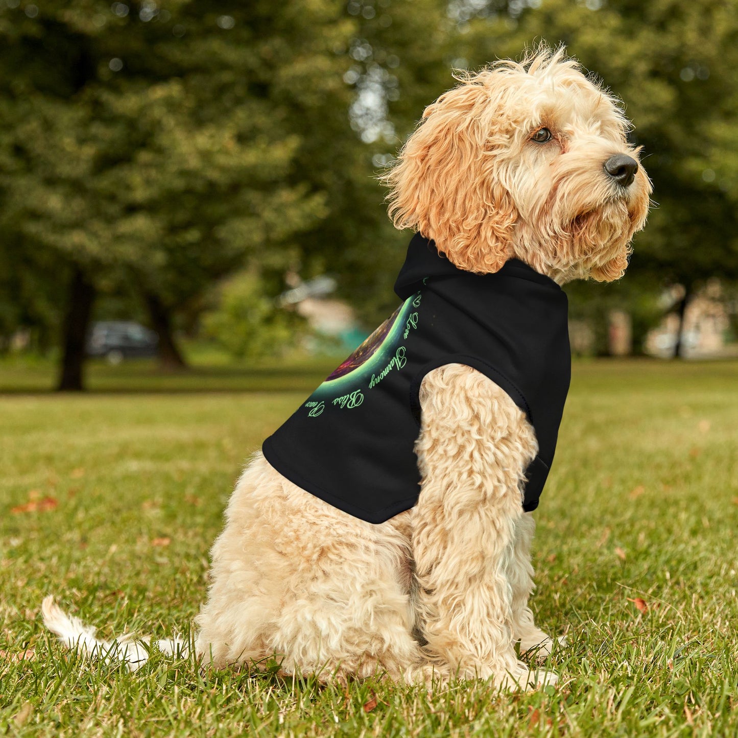 Dog Chakra Series - HEART CHAKRA - Black - Animal Hoodie