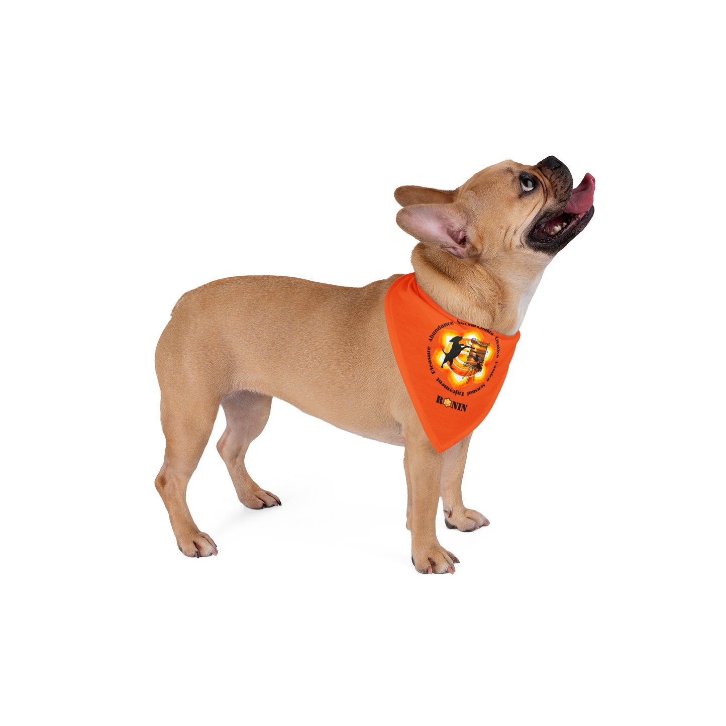 Dog Chakra Series - SACRAL CHAKRA - Pet Bandana