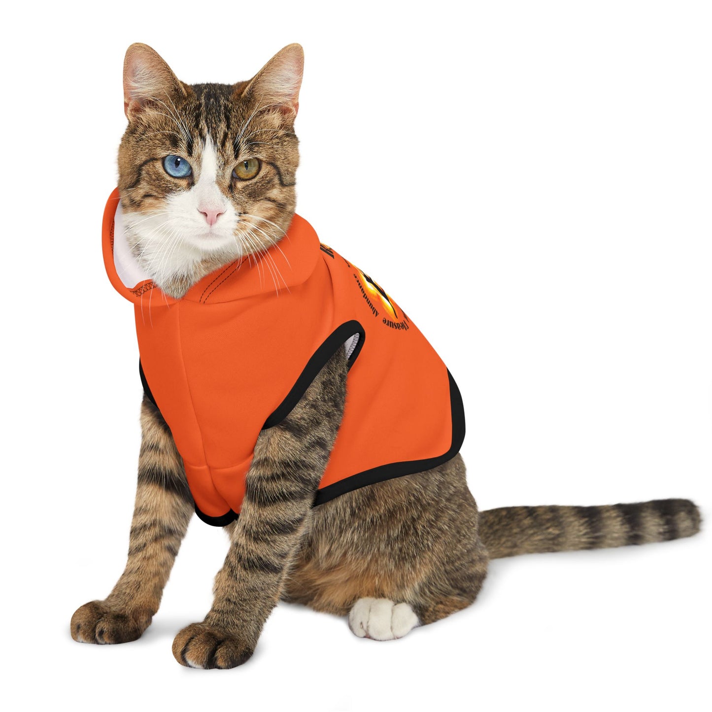 Cat Chakra Series- SACRAL CHAKRA - BACK - Orange - Animal Hoodie