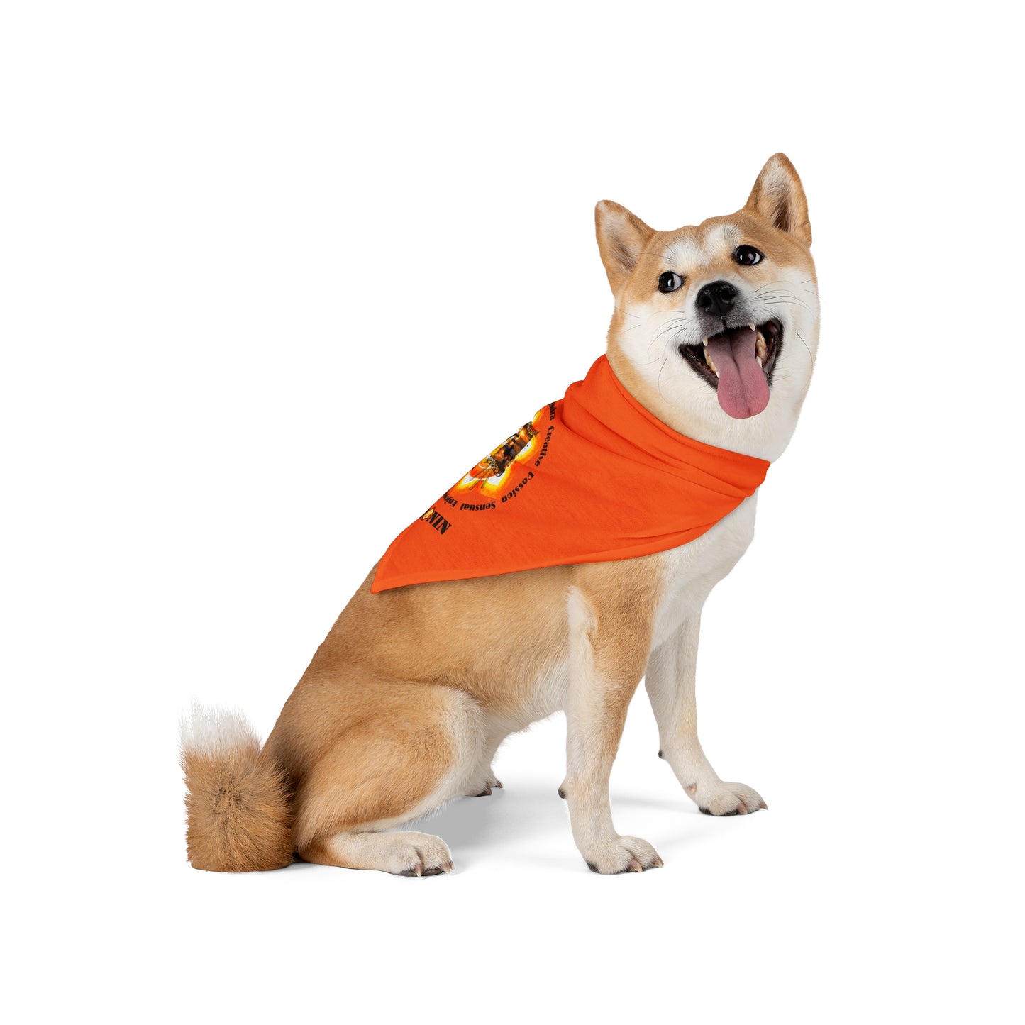 Dog Chakra Series - SACRAL CHAKRA - Pet Bandana