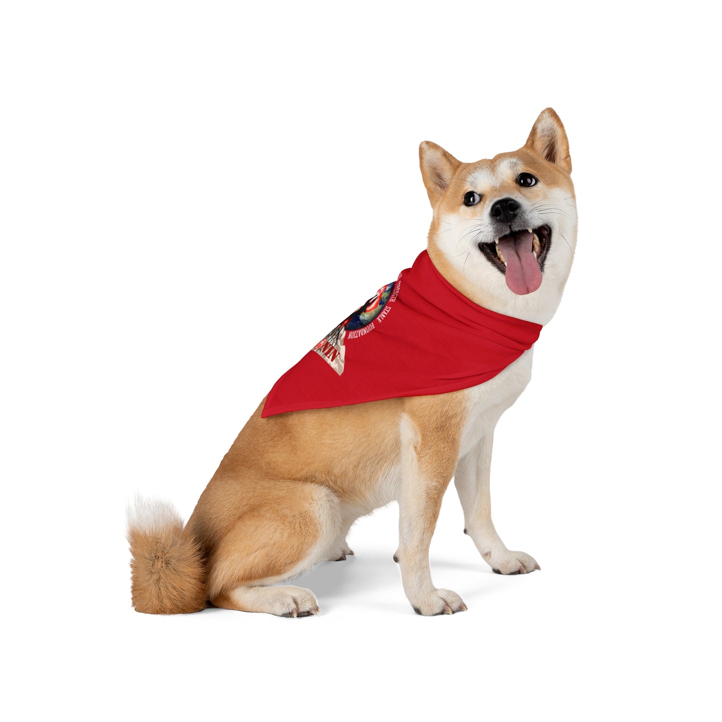 Dog Chakra Series - ROOT CHAKRA - Pet Bandana