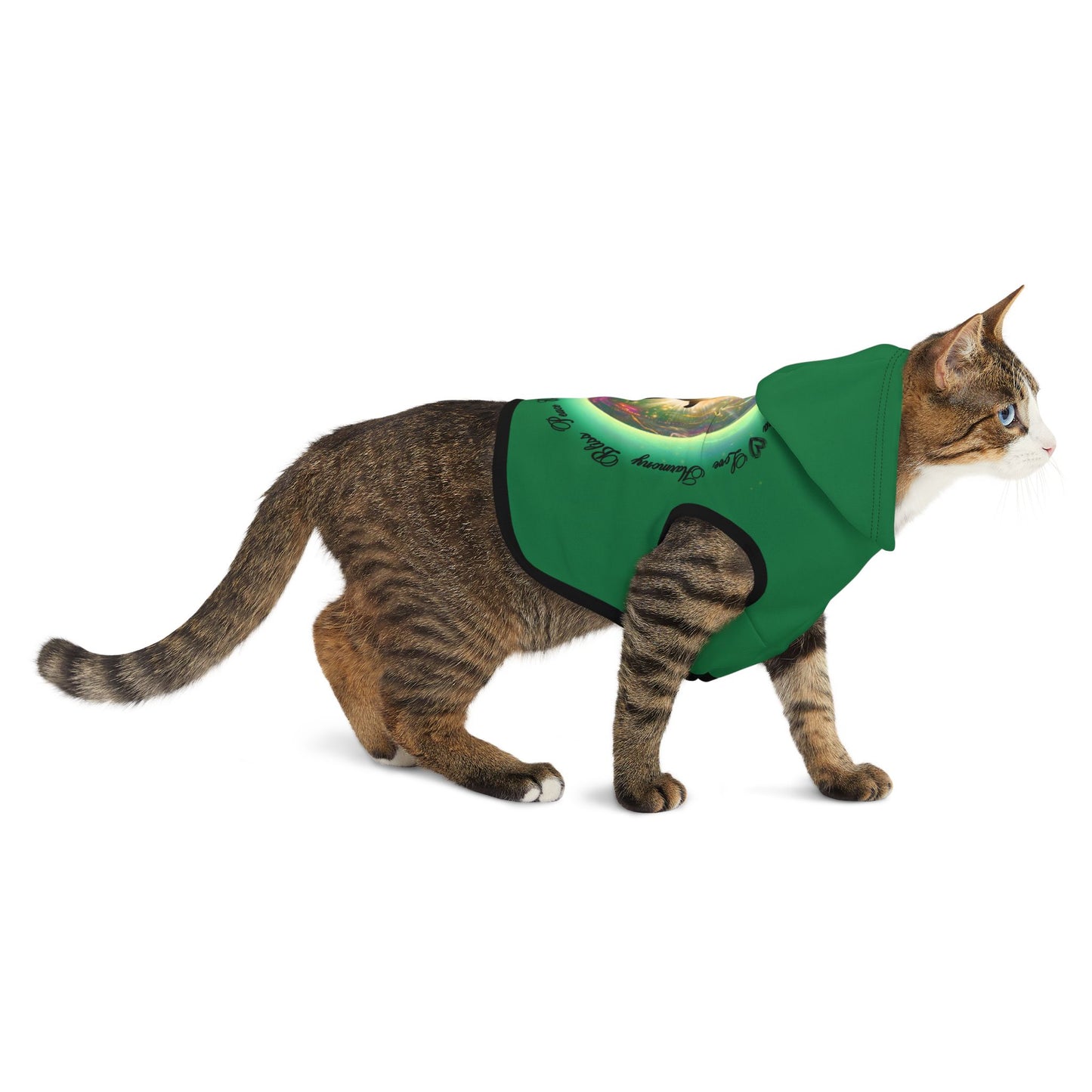 Cat Chakra Series - HEART CHAKRA - GREEN - Animal Hoodie