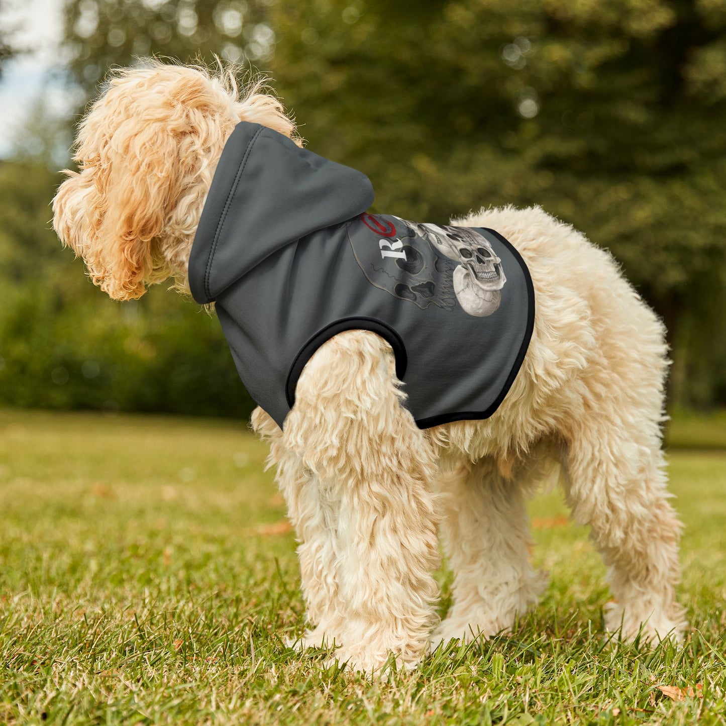 SKULLS - Dog Hoodie - Charcoal