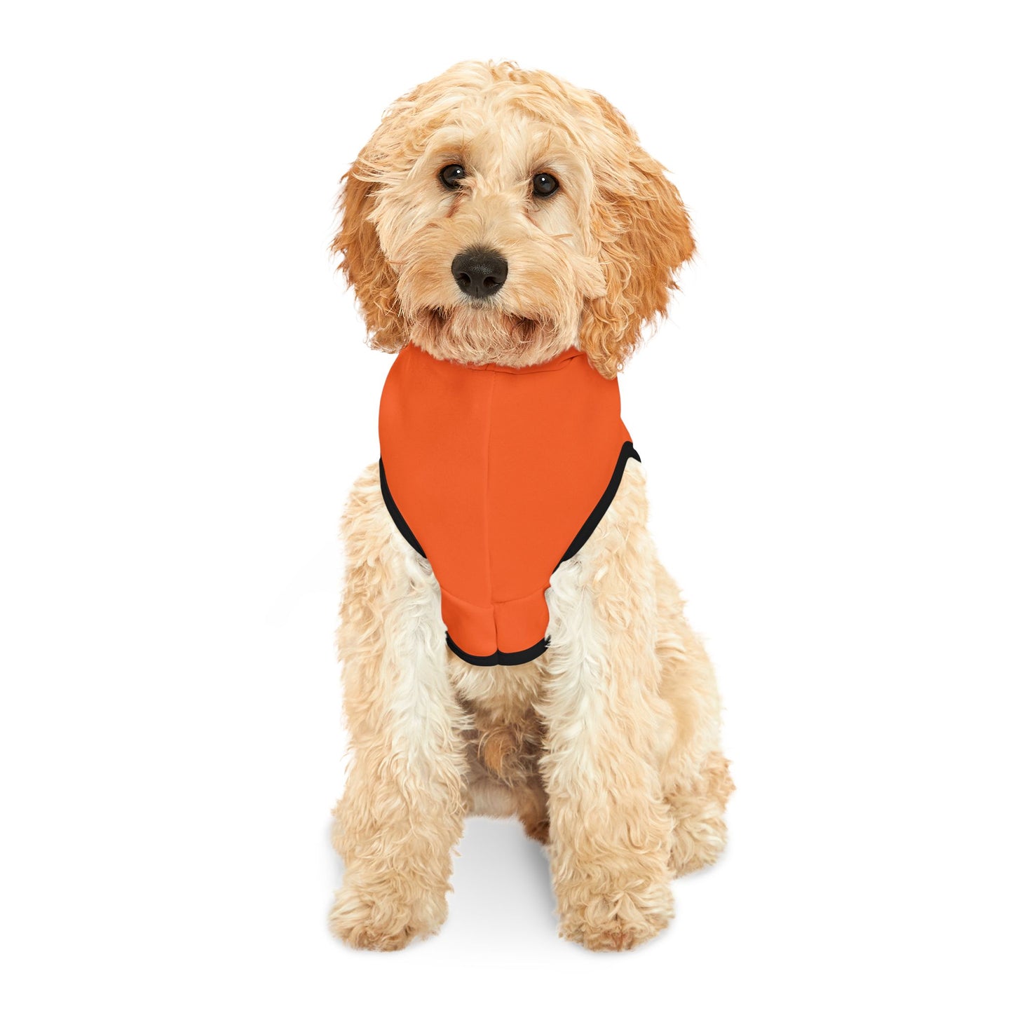 Dog Chakra Series- SACRAL CHAKRA - BACK- Orange- Animal Hoodie