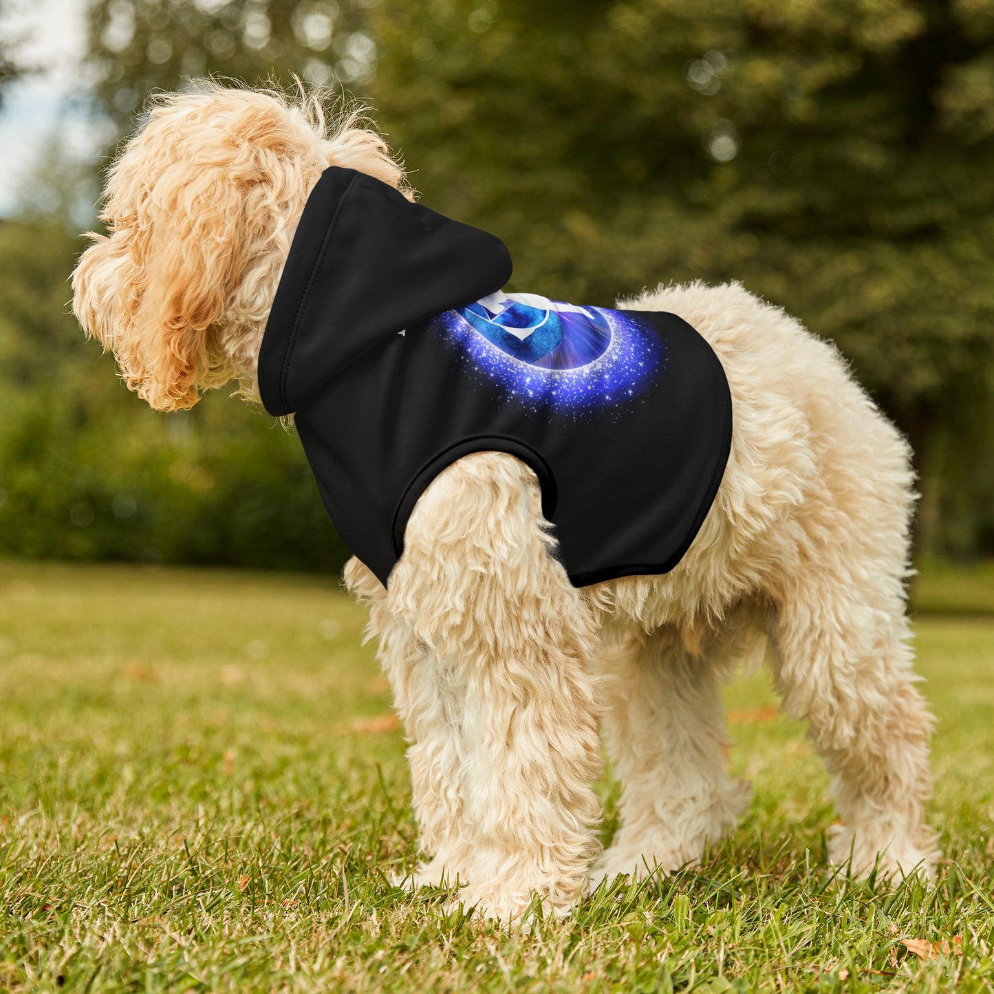 Dog Chakra Series- THIRD EYE CHAKRA - FRONT - Black - Animal Hoodie